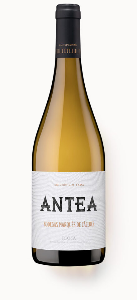 Antea, Bodegas Marqués de Cáceres