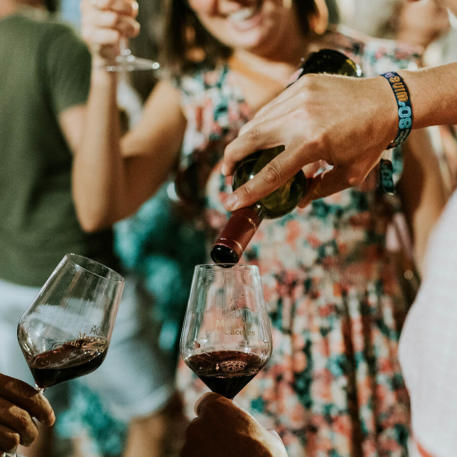 Marqués de Cáceres Crianza Marqués de Cáceres Crianza