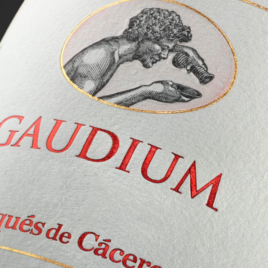 Gaudium Gaudium