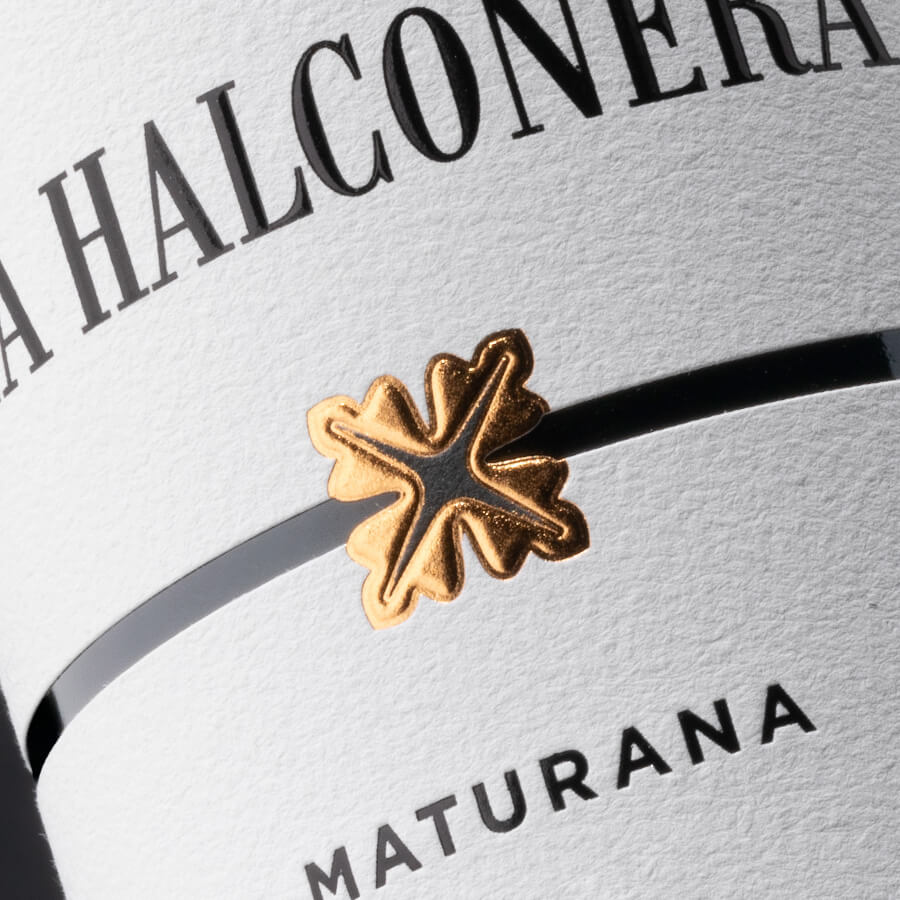 La Halconera Maturana La Halconera Maturana
